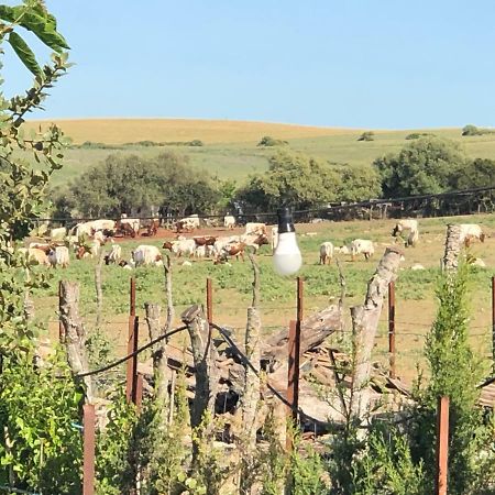 Alojamiento Rural El Soldao Medina-Sidonia Exterior foto